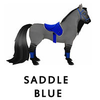 Saddle Blue