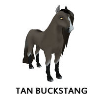 Tan Buckstang