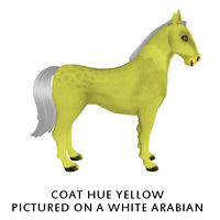 Coat Hue Yellow