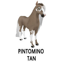 Pintomino Tan