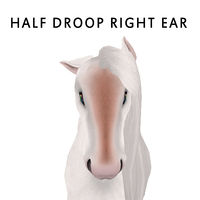 Half Droop Right Ears