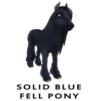 Solid Blue Fell Pony