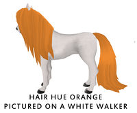 Hair Hue Orange