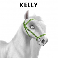 Kelly Bridle