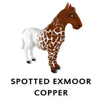 Spotted Exmoor Copper