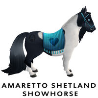 Amaretto Shetland Showhorse