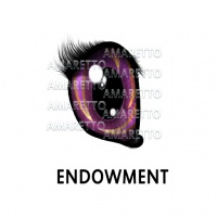 Heavenly Endowment