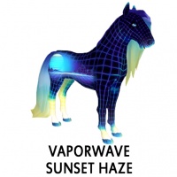 10th Anniversary OOAK Vaporwave - Sunset Haze