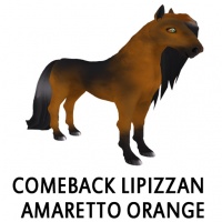 Comeback Lipizzan - Amaretto Orange