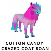 Cotton Candy Crazed Coat Roan