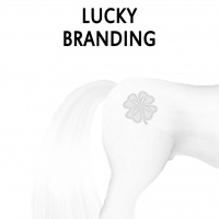 Lucky Branding