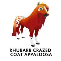 Rhubarb Crazed Coat Appaloosa