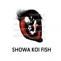 Showa Koi Fish