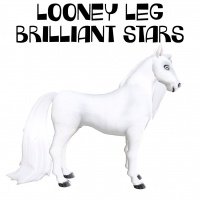 Looney Leg Brilliant Stars