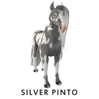 Silver Pinto