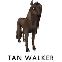 Tan Walker