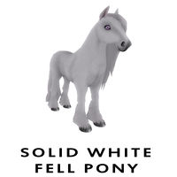 Solid White Fell Pony