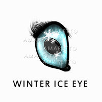 Winter Ice Eye