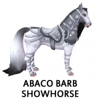 Abaco Barb Showhorse