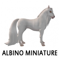 Albino Miniature Side