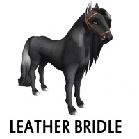 Leather Bridle