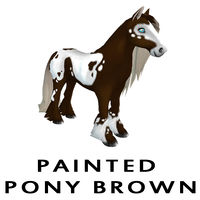 Painted Pony Brown