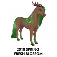 2018 Spring Fresh Blossom