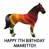 Happy 7th Birthday Amaretto!