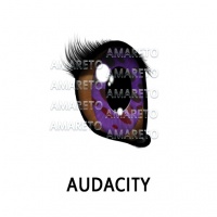 Audacity