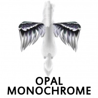 Opal Monochrome