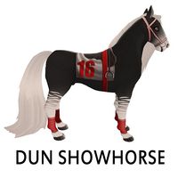 Dun Showhorse