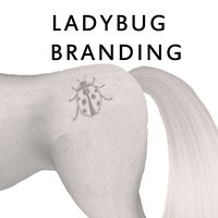 Ladybug Branding