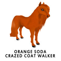 Orange Soda Crazed Coat Walker