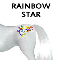 Rainbow Star Branding