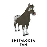 Shetaloosa Tan