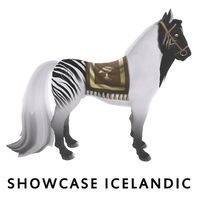 Showcase Icelandic