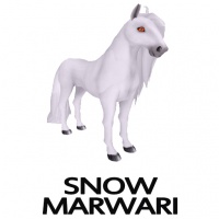 Snow Marwari