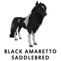 Black Amaretto Saddlebred