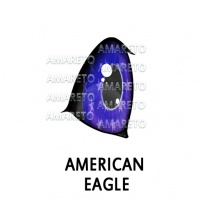 American Eagle