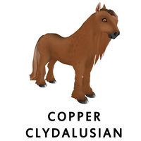 Copper Clydalusian