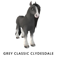 Grey Classic Clydesdale