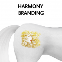 Harmony Branding