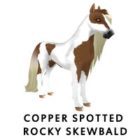 Copper Spotted Rocky Skewbald