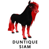 Duntique Siam