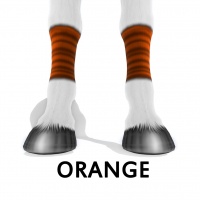 Orange Socks