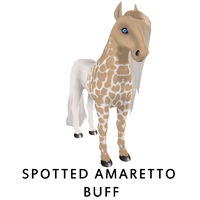 Spotted Amaretto Buff