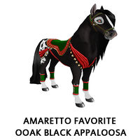 Amaretto Favorite OOAK Black Appaloosa