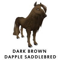 Dark Brown Dapple Saddlebred