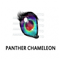 Panther Chameleon