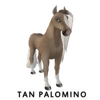 Tan Palomino